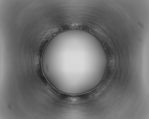 X0000114510654200911091131