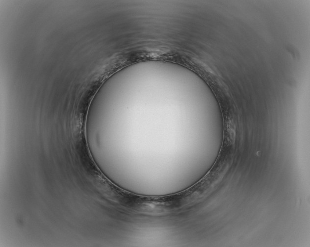 X0000114510657200911091131