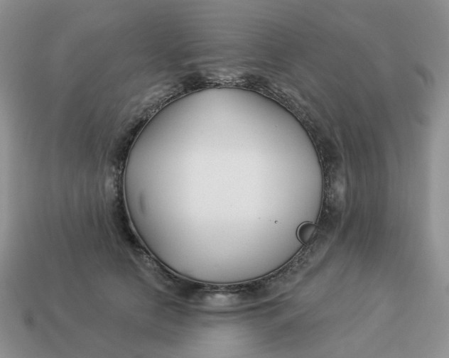 X0000114510658200911091131