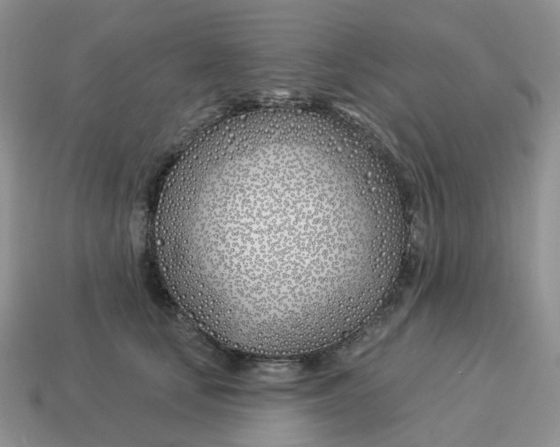 X0000114510659200911091131