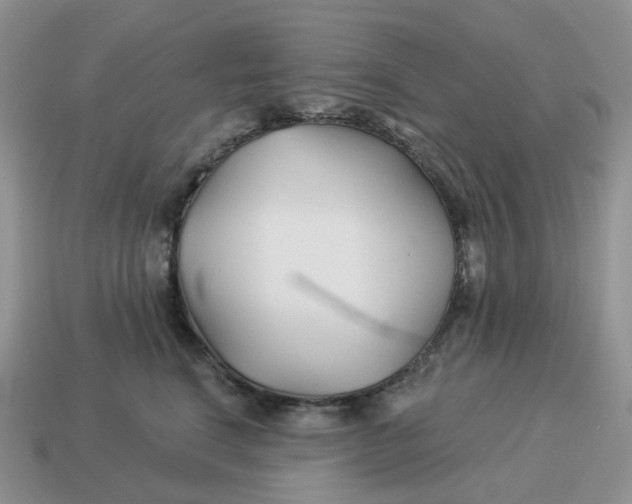 X0000114510664200911091131