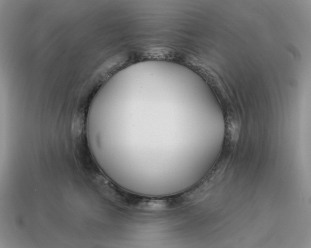 X0000114510665200911091131