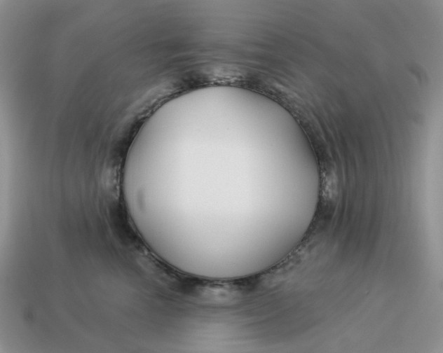 X0000114510666200911091131