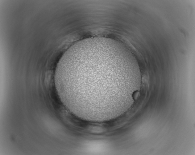 X0000114510671200911091131