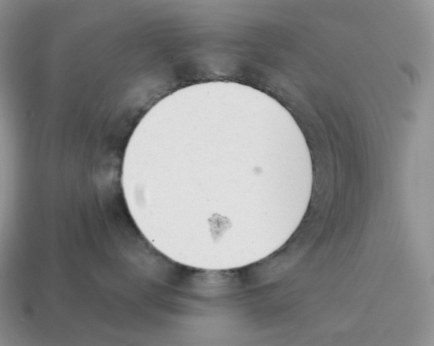 X0000114510672200911091131