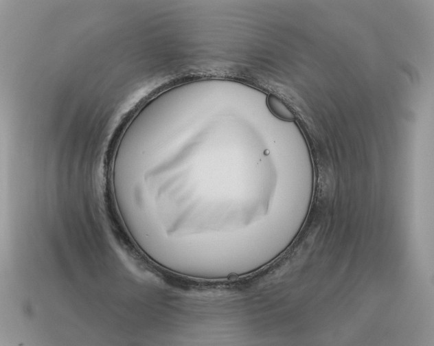 X0000114510674200911091130