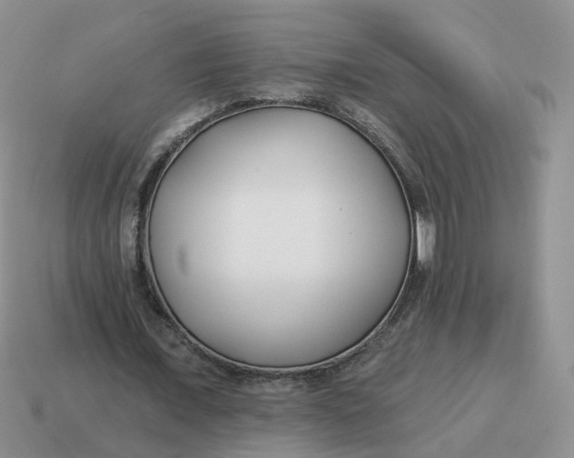 X0000114510675200911091130