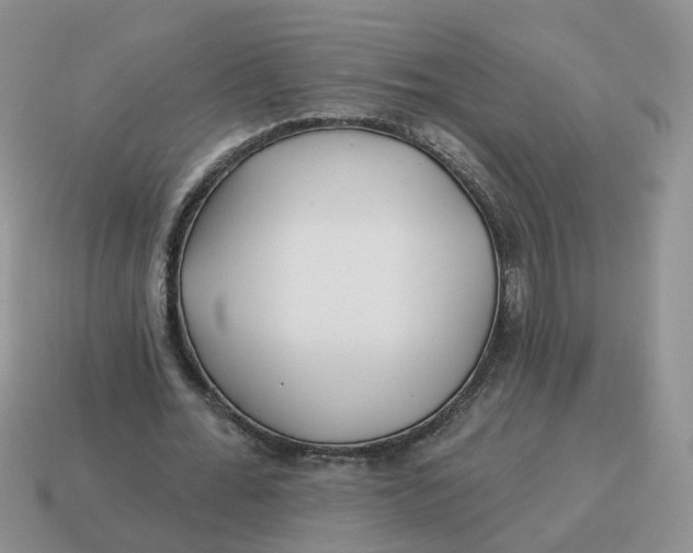 X0000114510676200911091130