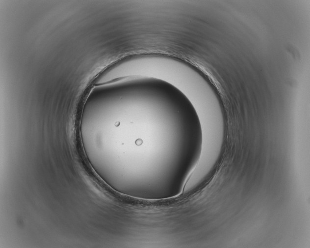 X0000114510677200911091130