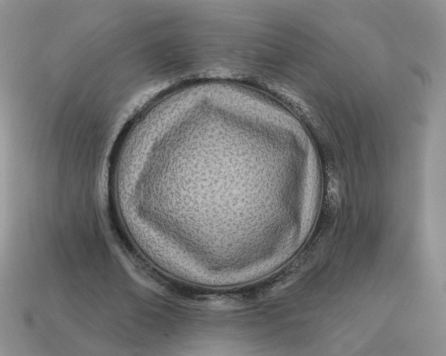 X0000114510678200911091130