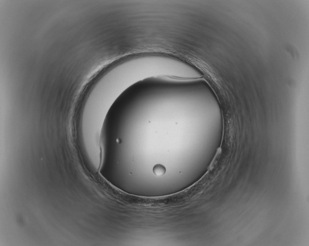 X0000114510680200911091130