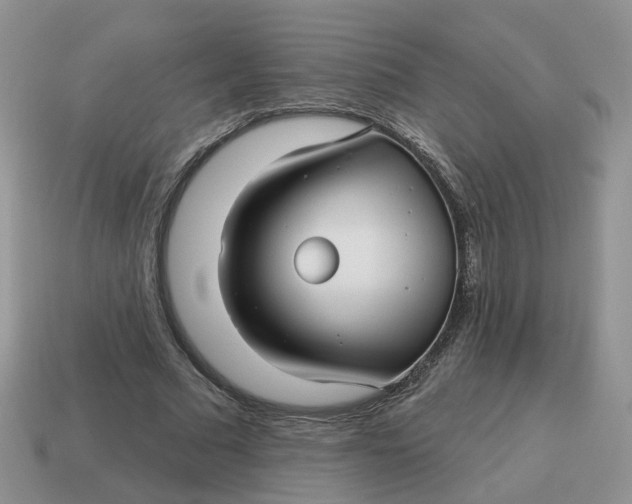 X0000114510681200911091130