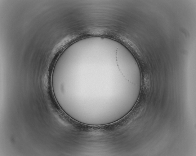 X0000114510682200911091130