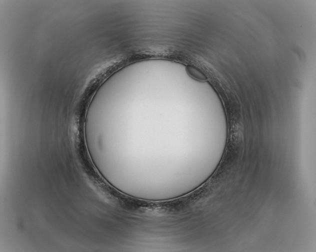 X0000114510688200911091130