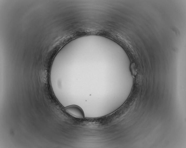 X0000114510689200911091130