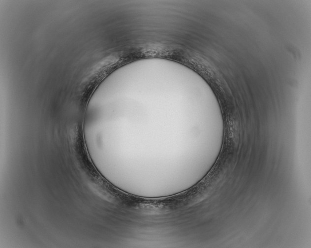 X0000114510690200911091130