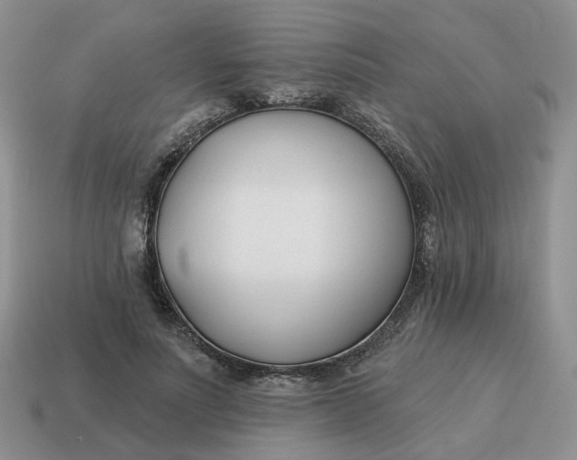 X0000114510691200911091130