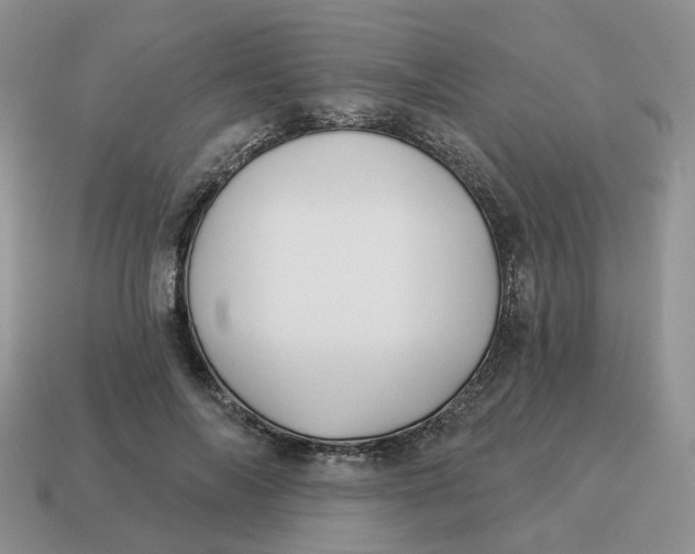 X0000114510694200911091130