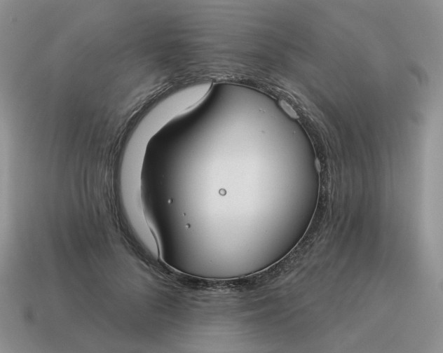 X0000114510696200911091130