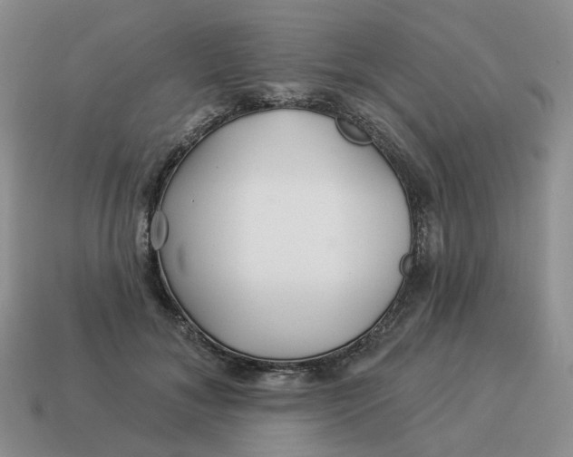 X0000114510700200911091130