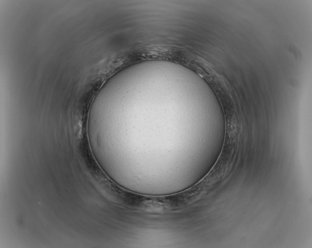 X0000114510703200911091130