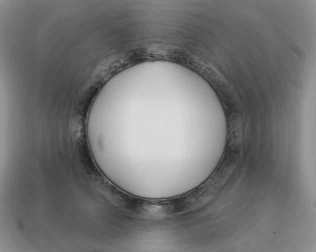 X0000114510706200911091130