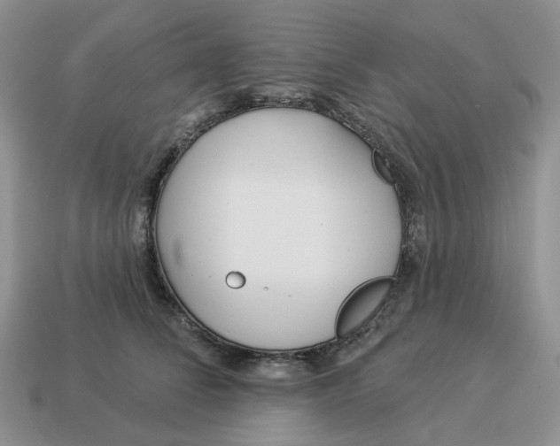 X0000114510708200911091130