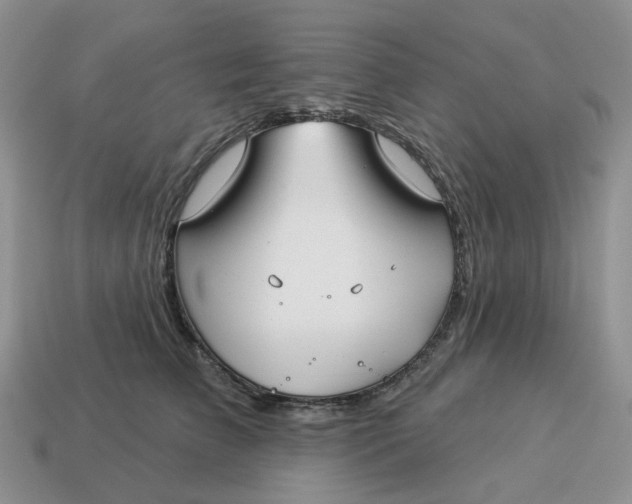 X0000114510709200911091130