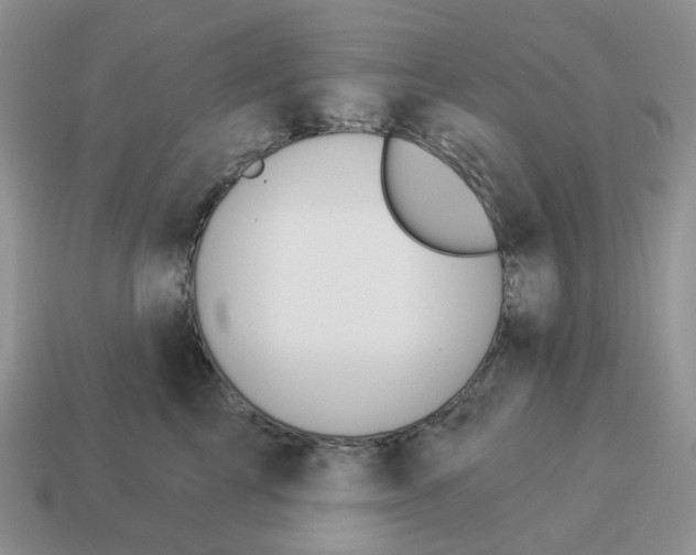 X0000114510713200911091130