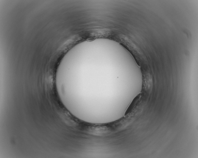 X0000114510716200911091130