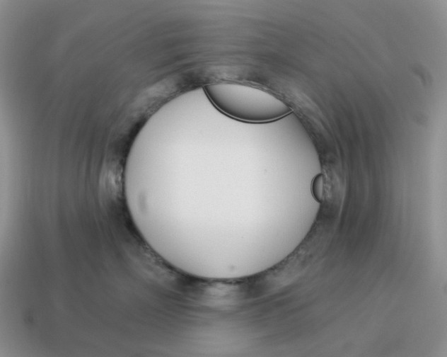 X0000114510718200911091130