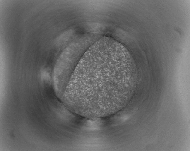 X0000114510720200911091130