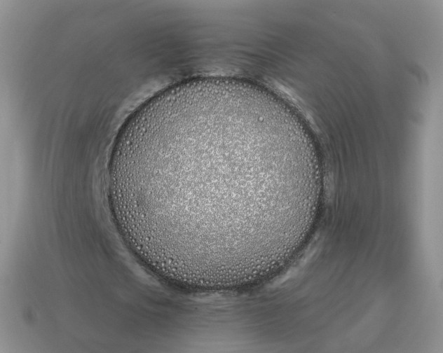 X0000114510721200911091129