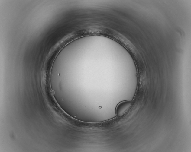 X0000114510722200911091129