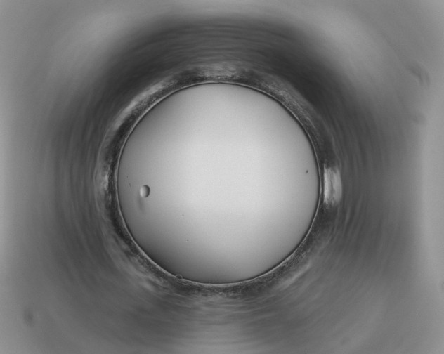 X0000114510723200911091129