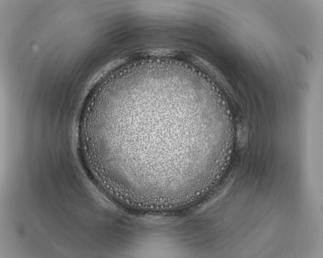 X0000114510725200911091129