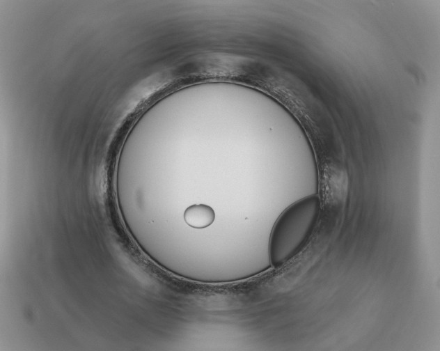 X0000114510726200911091129