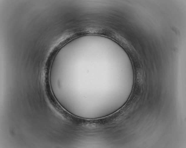 X0000114510730200911091129