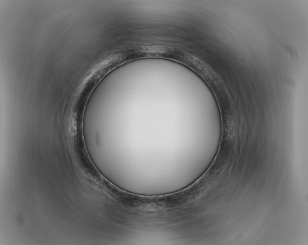 X0000114510731200911091129