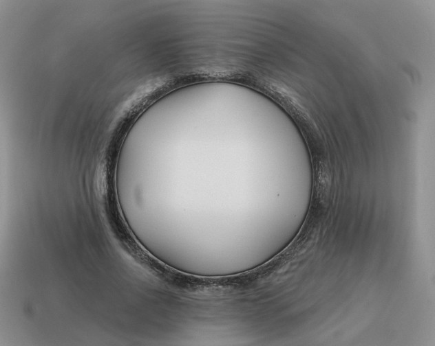 X0000114510734200911091129