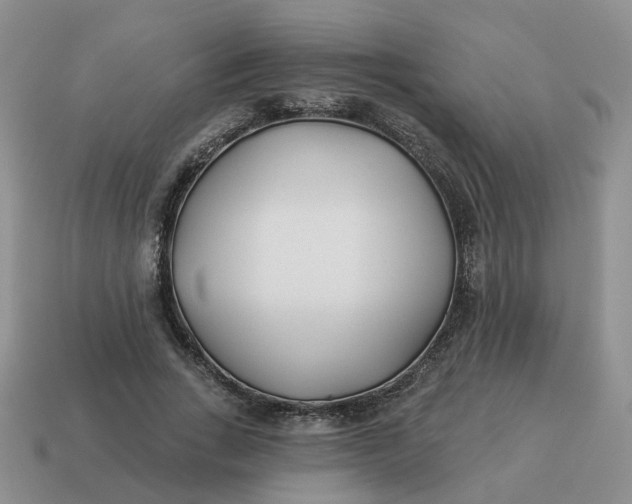 X0000114510735200911091129