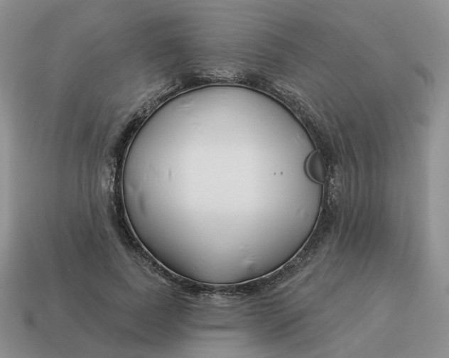 X0000114510739200911091129