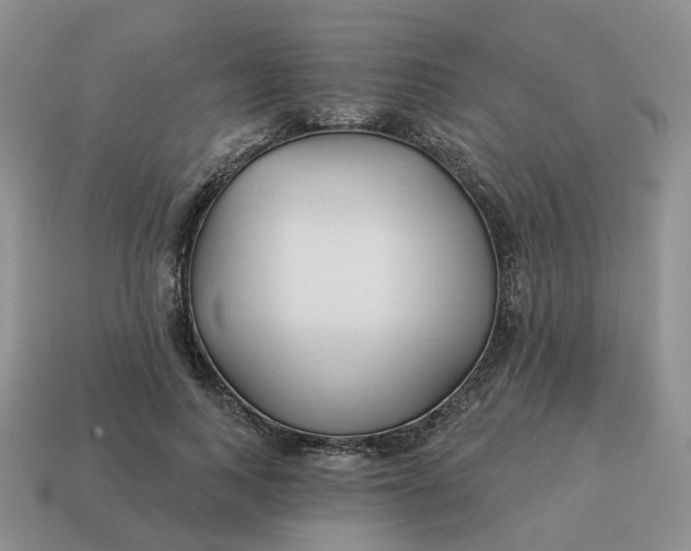 X0000114510743200911091129