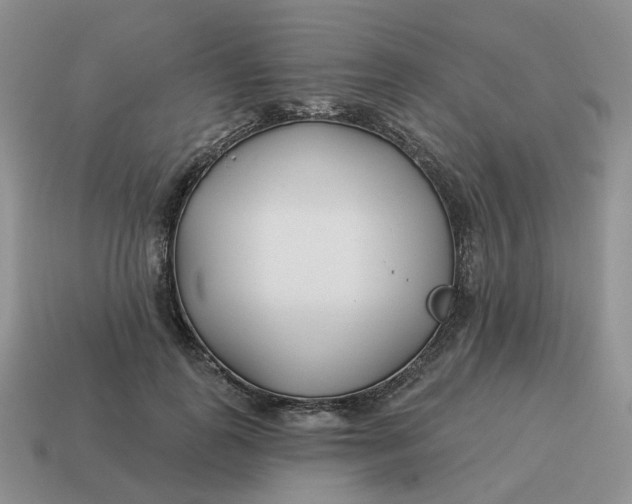 X0000114510747200911091129