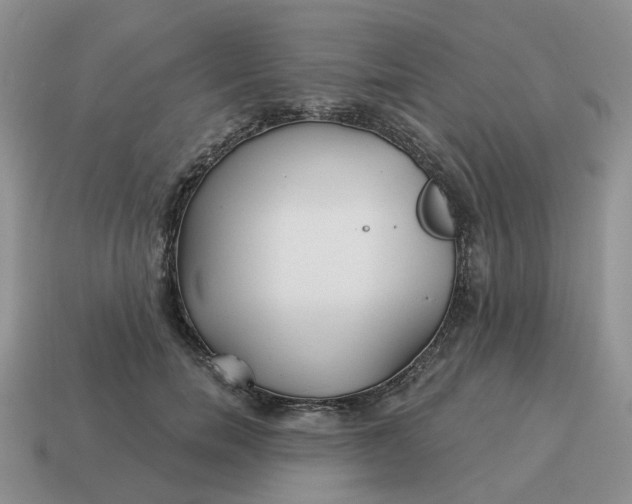 X0000114510750200911091130