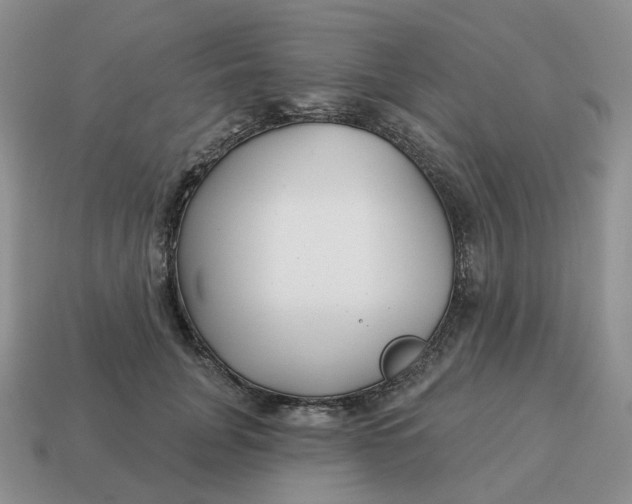 X0000114510751200911091130