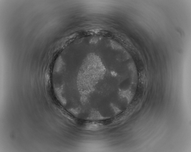 X0000114510754200911091130