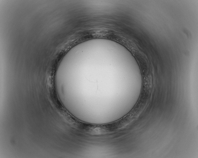 X0000114510755200911091130