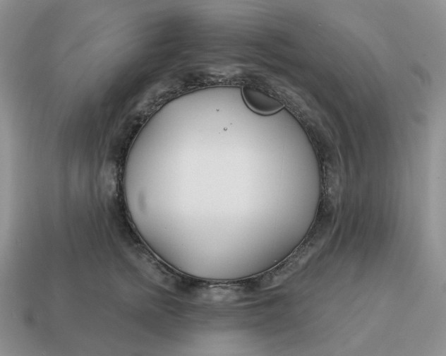 X0000114510758200911091130