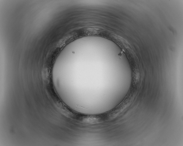 X0000114510759200911091130